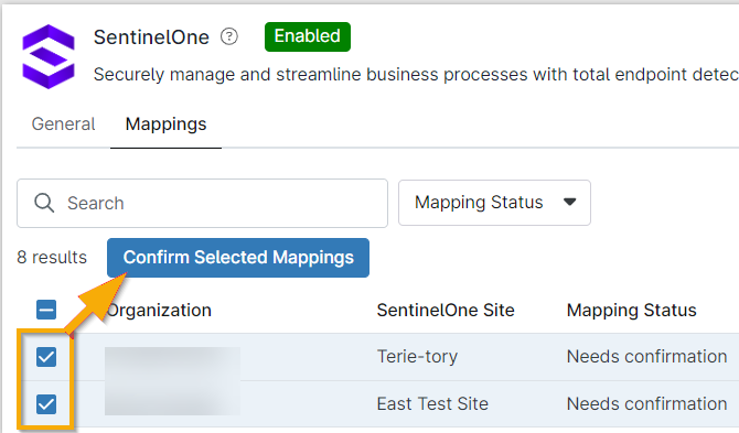 sentinelOne_conferma mappatura.png